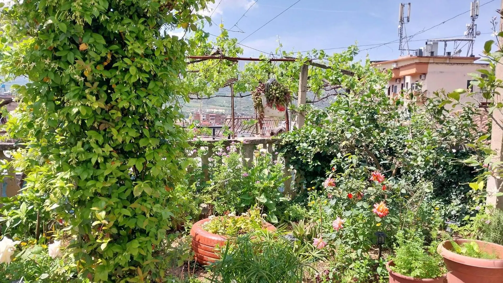Dean Apartment Berat Albanie